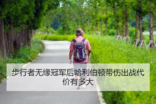 bu-xing-zhe-wu-yuan-guan-jun-hou-ha-li-bo-dun-dai-shang-chu-zhan-dai-jia-you-duo-da-2-215.jpg