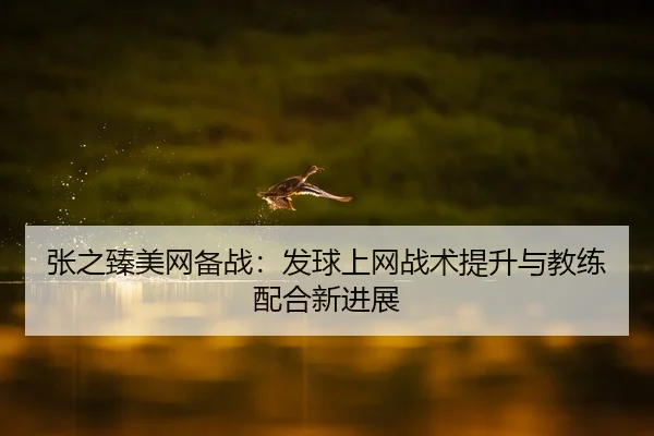 张之臻美网备战：发球上网战术提升与教练配合新进展