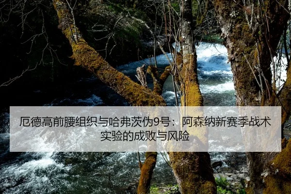 厄德高前腰组织与哈弗茨伪9号：阿森纳新赛季战术实验的成败与风险